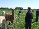 Thumbnail image of DSCF3645.JPG