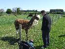 Thumbnail image of DSCF3648.JPG