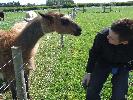 Thumbnail image of DSCF3649.JPG