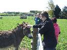 Thumbnail image of DSCF3655.JPG