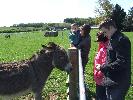 Thumbnail image of DSCF3656.JPG