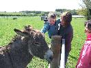 Thumbnail image of DSCF3658.JPG