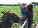 Thumbnail image of DSCF3659.JPG
