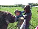 Thumbnail image of DSCF3661.JPG
