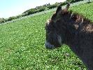 Thumbnail image of DSCF3662.JPG
