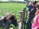 Thumbnail image of DSCF3663.JPG