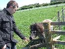 Thumbnail image of DSCF3666.JPG
