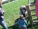 Thumbnail image of DSCF3667.JPG