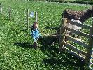 Thumbnail image of DSCF3668.JPG