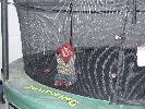 Thumbnail image of DSCF3671.JPG