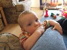 Thumbnail image of DSCF3708.JPG