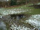 Thumbnail image of DSCF0044.JPG