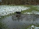 Thumbnail image of DSCF0045.JPG