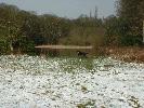 Thumbnail image of DSCF0046.JPG