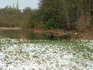 Thumbnail image of DSCF0047.JPG