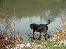 Thumbnail image of DSCF0048.JPG