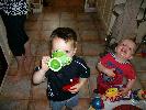 Thumbnail image of IMGP0006.JPG