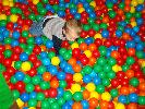 Thumbnail image of 2009_11_12 071.jpg