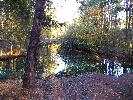 Thumbnail image of 2009_11_12 073.jpg