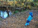Thumbnail image of 2009_11_12 074.jpg