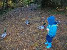 Thumbnail image of 2009_11_12 077.jpg