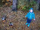 Thumbnail image of 2009_11_12 079.jpg