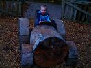 Thumbnail image of 2009_11_12 095.jpg