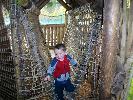Thumbnail image of 2009_11_12 106.jpg
