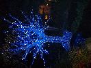 Thumbnail image of 2009_11_12 112.jpg