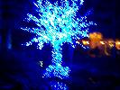 Thumbnail image of 2009_11_12 113.jpg