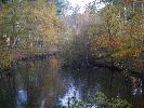 Thumbnail image of 2009_11_12 118.jpg