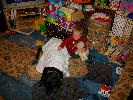Thumbnail image of 2009_11_12 007.jpg