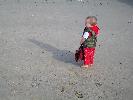 Thumbnail image of 2009_11_12 033.jpg