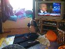 Thumbnail image of 2009_11_12 054.jpg