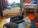 Thumbnail image of 2009_11_12 057.jpg