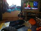 Thumbnail image of 2009_11_12 058.jpg