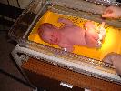 Thumbnail image of DSCF0058.JPG
