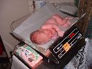 Thumbnail image of DSCF0060.JPG