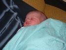 Thumbnail image of DSCF0071.JPG