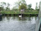 Thumbnail image of DSCF4082.JPG