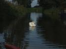 Thumbnail image of DSCF4084.JPG