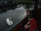 Thumbnail image of DSCF4152.JPG