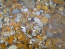 Thumbnail image of IMGP2277.JPG