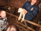 Thumbnail image of DSCF1268.JPG