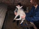 Thumbnail image of DSCF1276.JPG