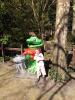 Thumbnail image of DSCF1346.JPG