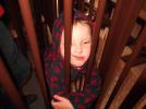 Thumbnail image of DSCF1478.JPG