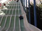 Thumbnail image of DSCF1565.JPG